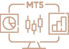 MT5 Platform